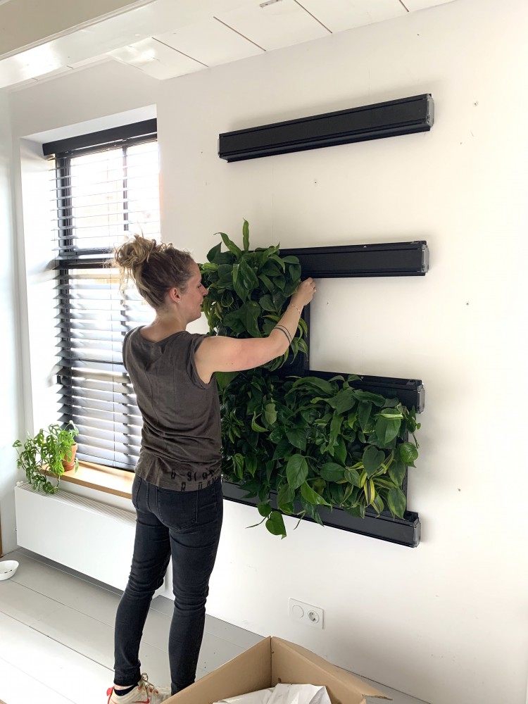 Garderobe nemen snorkel Plantenwand in huis! - Jellina Detmar Interieur & Styling blog